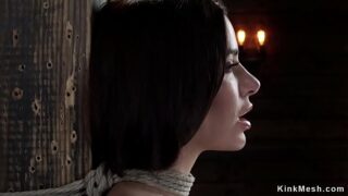 Big-chested Gia DiMarco in restrain bondage on hog-tie
