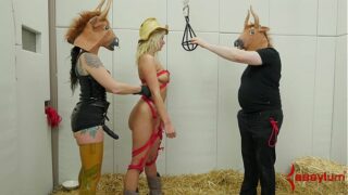 Layla Price gets b. painal fuck from sick bitch clad as bull